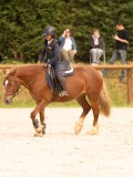 DSC04053