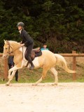 DSC05776 DSC05776