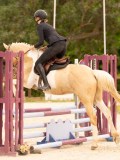 DSC05778 DSC05778