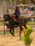 DSC00778 DSC00778