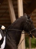 DSC00470 DSC00470