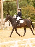 DSC08635 DSC08635