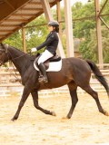 DSC08636 DSC08636