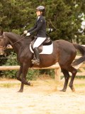 DSC08650 DSC08650