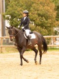 DSC08653 DSC08653
