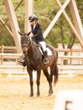 DSC08654 DSC08654