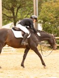 DSC08656 DSC08656