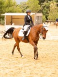 DSC07919 DSC07919