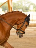 DSC07624 DSC07624