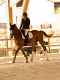 DSC07635 DSC07635