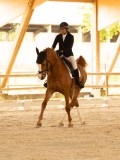 DSC07645 DSC07645