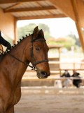 24_00299 24_00299