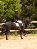 DSC09006