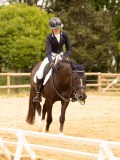DSC08245 DSC08245