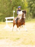 DSC01291 DSC01291