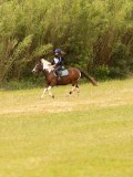 DSC01297 DSC01297