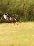 DSC01299 DSC01299