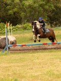 DSC01306 DSC01306