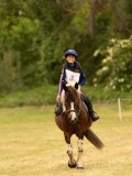 DSC01313 DSC01313