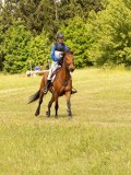 DSC09565 DSC09565