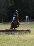 IMG_4106 IMG_4106