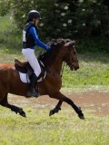 IMG_4109 IMG_4109
