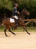 DSC03431 DSC03431