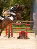 DSC03434 DSC03434