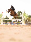 DSC02973 DSC02973
