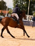 DSC02980 DSC02980