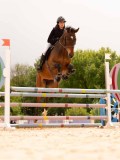 DSC01493 DSC01493