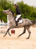 DSC03374 DSC03374