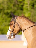 DSC03848 DSC03848