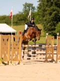 DSC04546 DSC04546