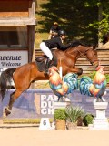 DSC04555 DSC04555