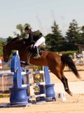 DSC04558 DSC04558