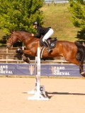 DSC04564 DSC04564