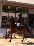 DSC04568 DSC04568
