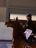 DSC04569 DSC04569