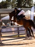DSC04570 DSC04570