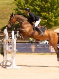 DSC03480 DSC03480