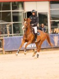 DSC00568 DSC00568