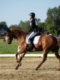 DSC06654 DSC06654