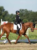 DSC06655 DSC06655