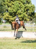 DSC08484 DSC08484
