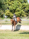 DSC08485 DSC08485