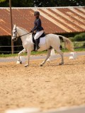 DSC04140 DSC04140