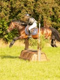 DSC08745 DSC08745