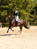 DSC07731 DSC07731