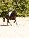 DSC07738 DSC07738